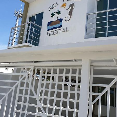 Appartamento Sea Horse Salinas  Esterno foto
